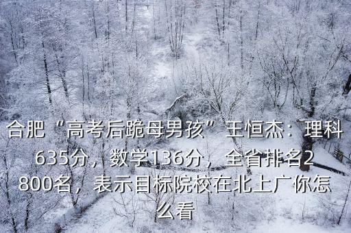 安徽合肥王恒杰高考多少分,合肥高考后跪母男孩王恒杰