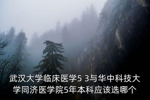 本科武漢大學(xué)怎么樣,武漢大學(xué)在全國(guó)怎么樣