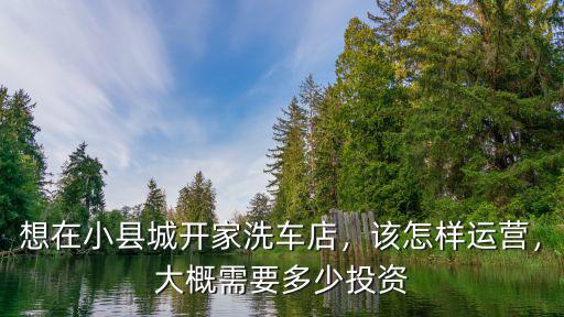 衡水有多少家洗車店,洗車店一年盈利有多少