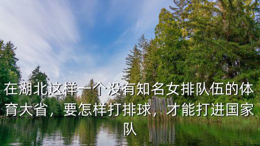 在湖北這樣一個(gè)沒(méi)有知名女排隊(duì)伍的體育大省，要怎樣打排球，才能打進(jìn)國(guó)家隊(duì)