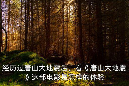 經歷過唐山大地震后，看《唐山大地震》這部電影是怎樣的體驗