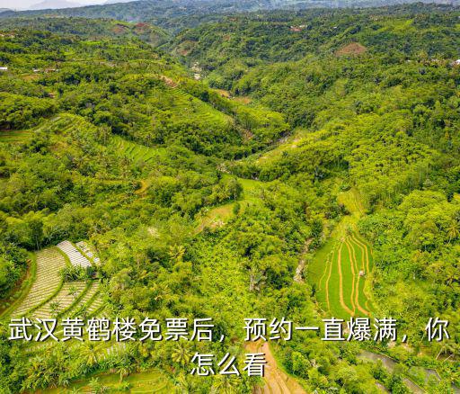 怎么預(yù)約武漢黃鶴樓的門票,武漢黃鶴樓免票后