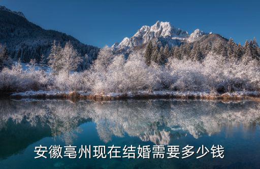 安徽亳州美女一夜多少錢,安徽亳州現(xiàn)在結(jié)婚需要多少錢