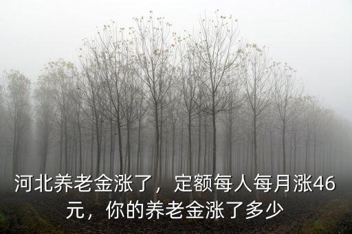 河北養老金漲了，定額每人每月漲46元，你的養老金漲了多少