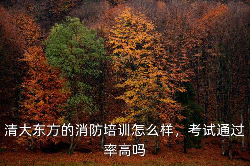 武漢清大東方怎么樣,清大東方人力資源怎么樣