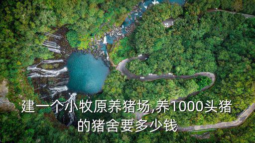 建一個小牧原養豬場,養1000頭豬的豬舍要多少錢