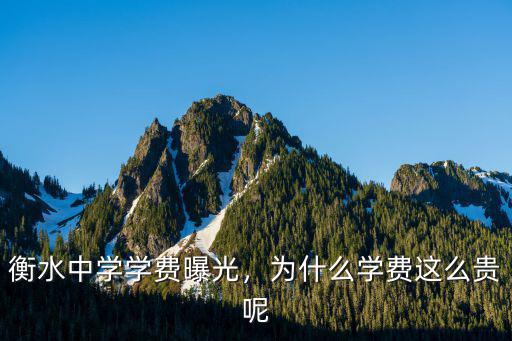 桂林衡水中學學費多少錢,衡水一中復讀學費是多少錢