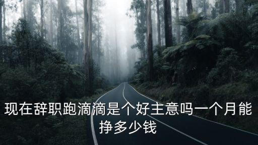 淮南市跑滴滴一個月能賺多少錢,一個月能賺多少錢