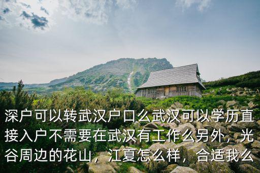 深戶可以轉武漢戶口么武漢可以學歷直接入戶不需要在武漢有工作么另外，光谷周邊的花山，江夏怎么樣，合適我么