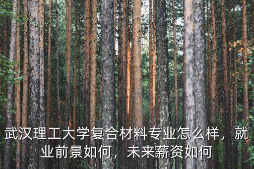 武漢理工大學(xué)化工碩士就業(yè)怎么樣,就業(yè)前景如何