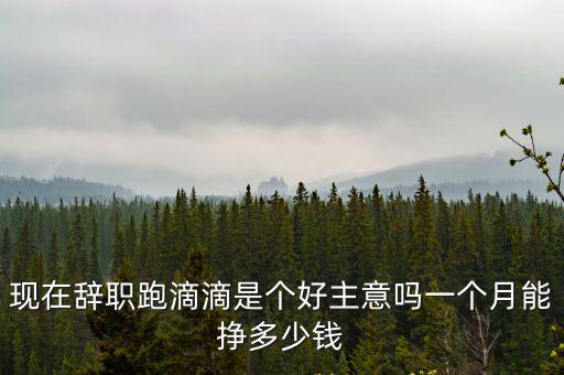 合肥滴滴30公里多少錢,合肥滴滴網(wǎng)約車掙錢嗎