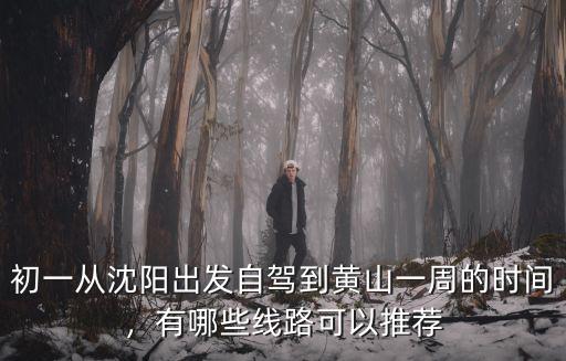 初一從沈陽出發自駕到黃山一周的時間，有哪些線路可以推薦