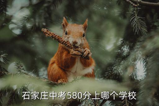 石家莊中考多少分能上一中,石家莊中考考了340分