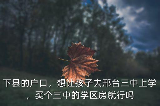 下縣的戶口，想讓孩子去邢臺三中上學，買個三中的學區房就行嗎