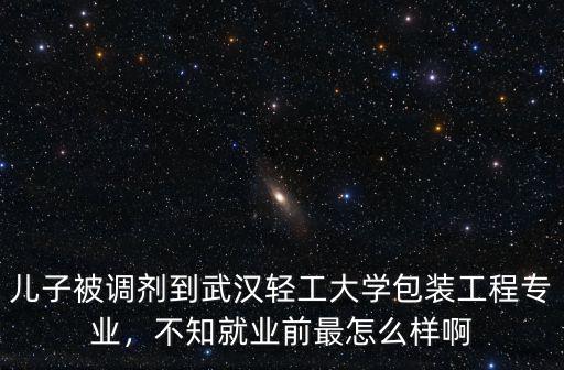 兒子被調劑到武漢輕工大學包裝工程專業，不知就業前最怎么樣啊