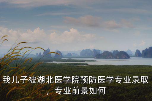 湖北醫(yī)藥學院怎么樣就業(yè)前景,就業(yè)前途怎樣