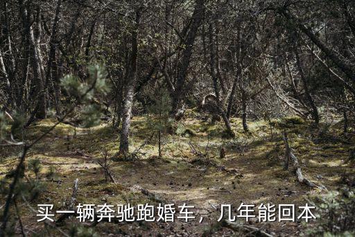 合肥跑婚車能掙多少,一個(gè)月大概能掙多少