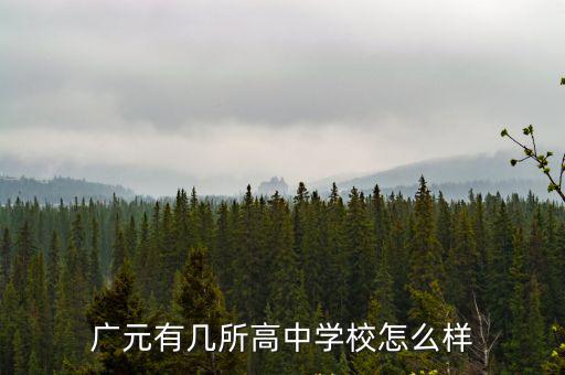 廣元有幾所高中學校怎么樣