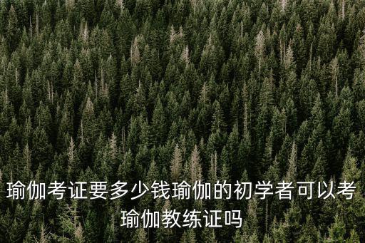 武漢瑜伽證怎么考,怎么考瑜伽教練證