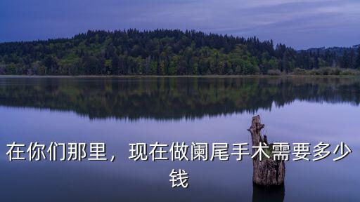 合肥附屬醫院做闌尾手術需多少錢,正常闌尾炎手術