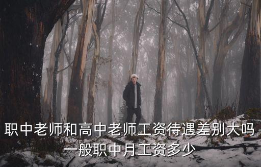 職中老師和高中老師工資待遇差別大嗎一般職中月工資多少