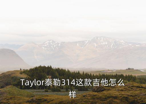 鄭州去哪里買泰勒吉他去哪買,應(yīng)該買哪個泰勒吉他