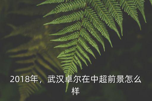 2018年，武漢卓爾在中超前景怎么樣