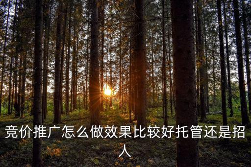 武漢推廣競價托管怎么做,競價推廣怎么做效果比較好