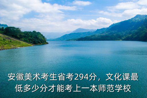 安徽考生考多少上一本大學,安徽美術考生省考294分
