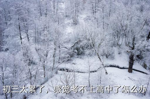 初三太累了，感覺考不上高中了怎么辦