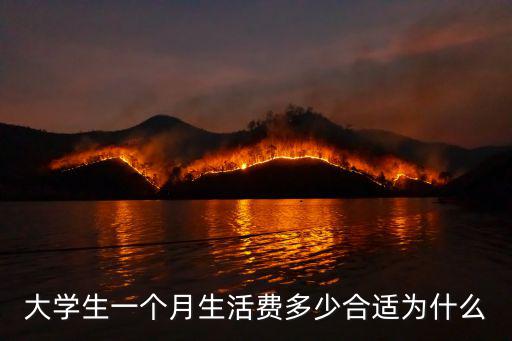 大學生一個月生活費多少合適為什么