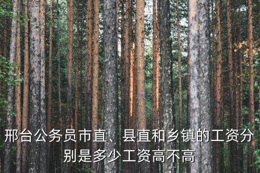 邢臺市直公務員工資多少,縣直和鄉鎮的工資分別是多少