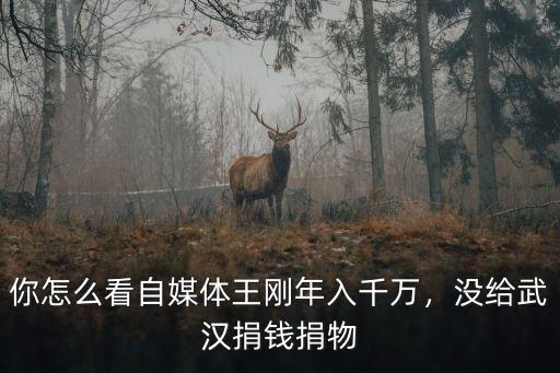 你怎么看自媒體王剛年入千萬，沒給武漢捐錢捐物