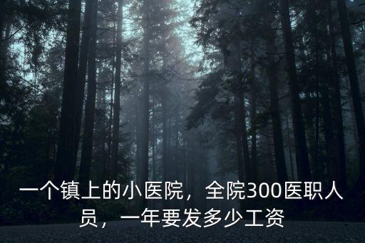 蚌埠鄉鎮醫院工資多少,一年要發多少工資