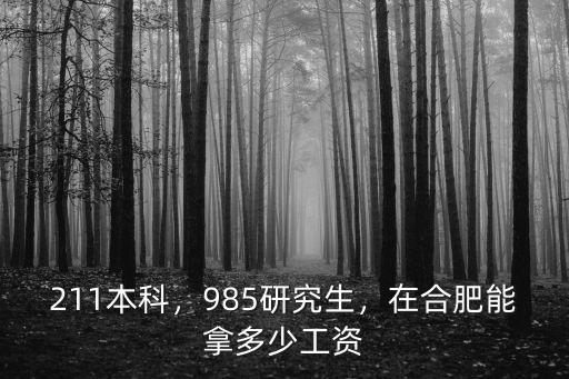211本科，985研究生，在合肥能拿多少工資