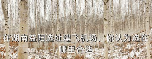資陽飛機場在哪里6,在湖南益陽選址建飛機場