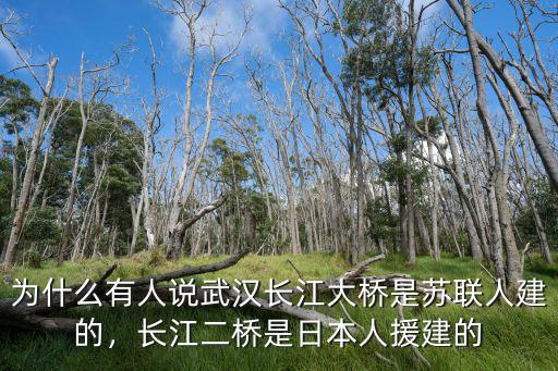 武漢大橋怎么建的,也是武漢大橋工程局承包的