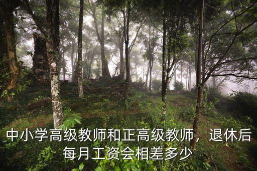 河北中學教師退休工資多少,退休后每月工資會相差多少