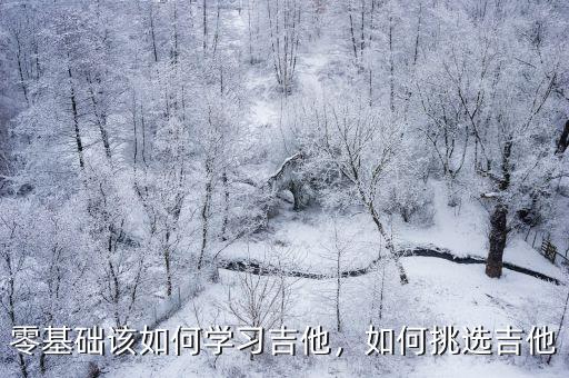 零基礎(chǔ)該如何學(xué)習(xí)吉他，如何挑選吉他