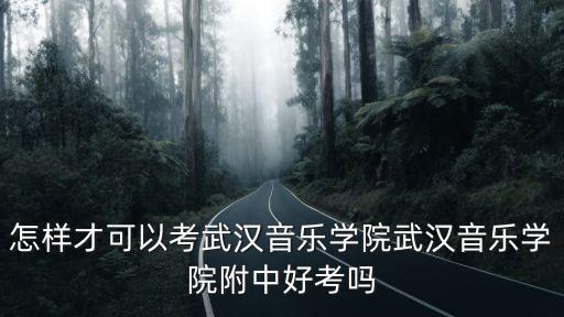 武漢音樂學院 怎么考,怎樣才可以考武漢音樂學院