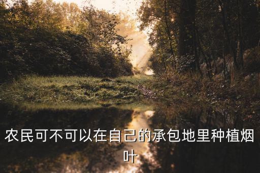 農民可不可以在自己的承包地里種植煙葉