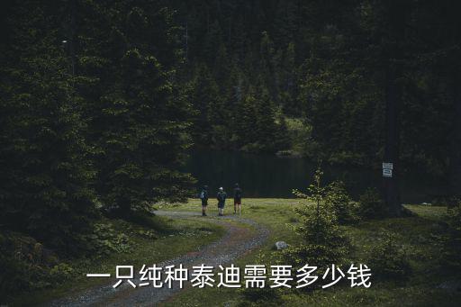 一只純種泰迪需要多少錢