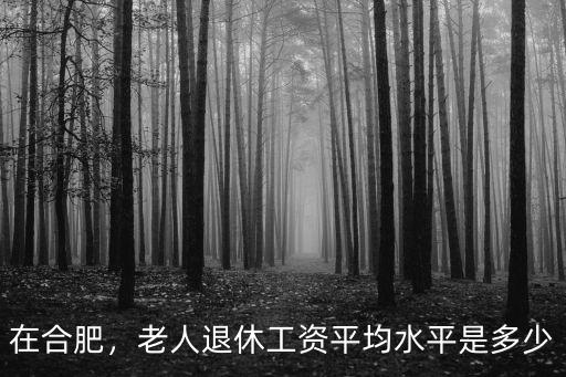 安徽 平均退休工資是多少錢一個月,老人退休工資平均水平是多少