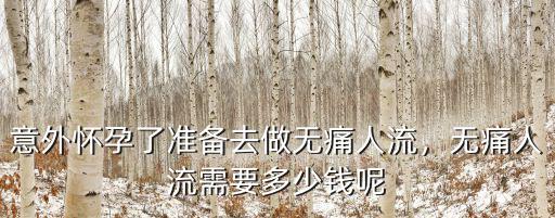 合肥無痛人流價格多少錢呢,無痛人流需要多少錢呢
