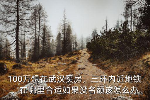 沒有名額怎么在武漢買房,100萬想在武漢買房