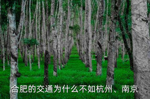 合肥的交通為什么不如杭州、南京