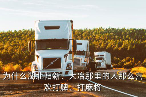 為什么湖北陽新、大冶那里的人那么喜歡打牌、打麻將