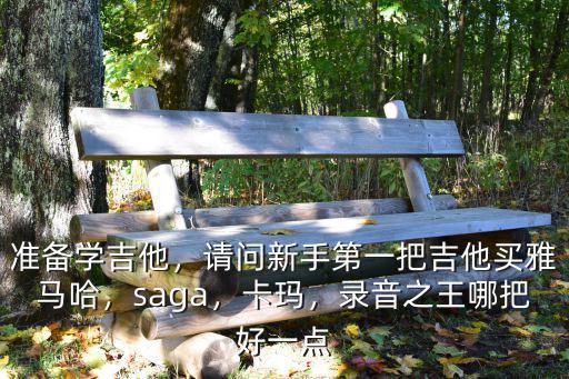 武漢民謠吉他saga吉他怎么樣,想學民謠吉他