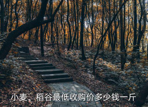 亳州市小麥最新價格多少錢一斤,元旦小麥大概會多少錢一斤