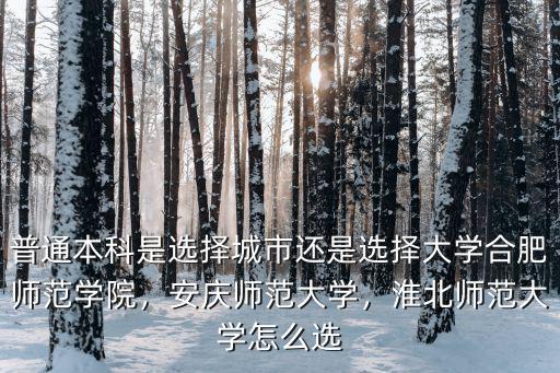 安慶師范大學校園網是多少,安慶師范大學